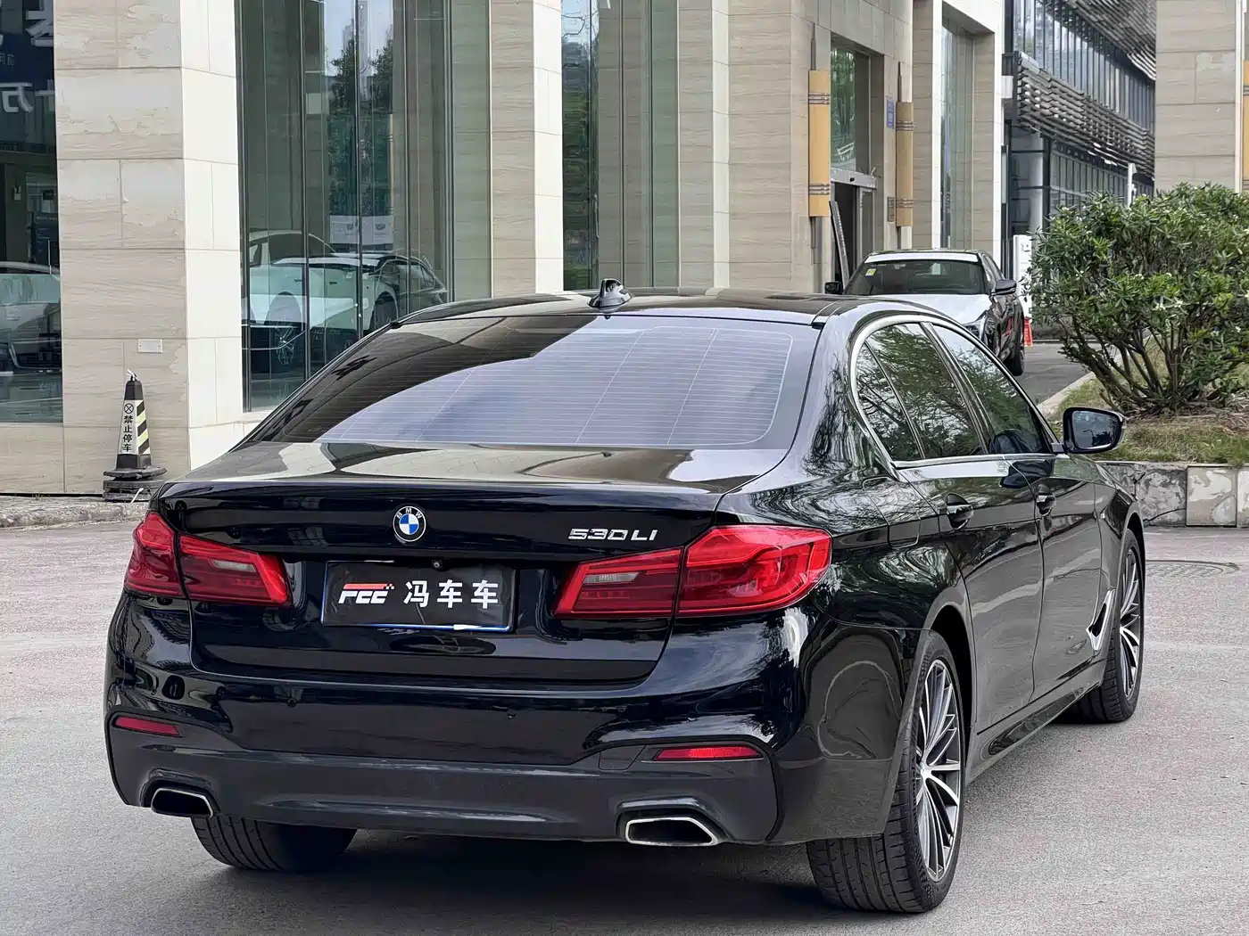 BMW 5 Series 2020 530Li Leading M Sport Package фото 12