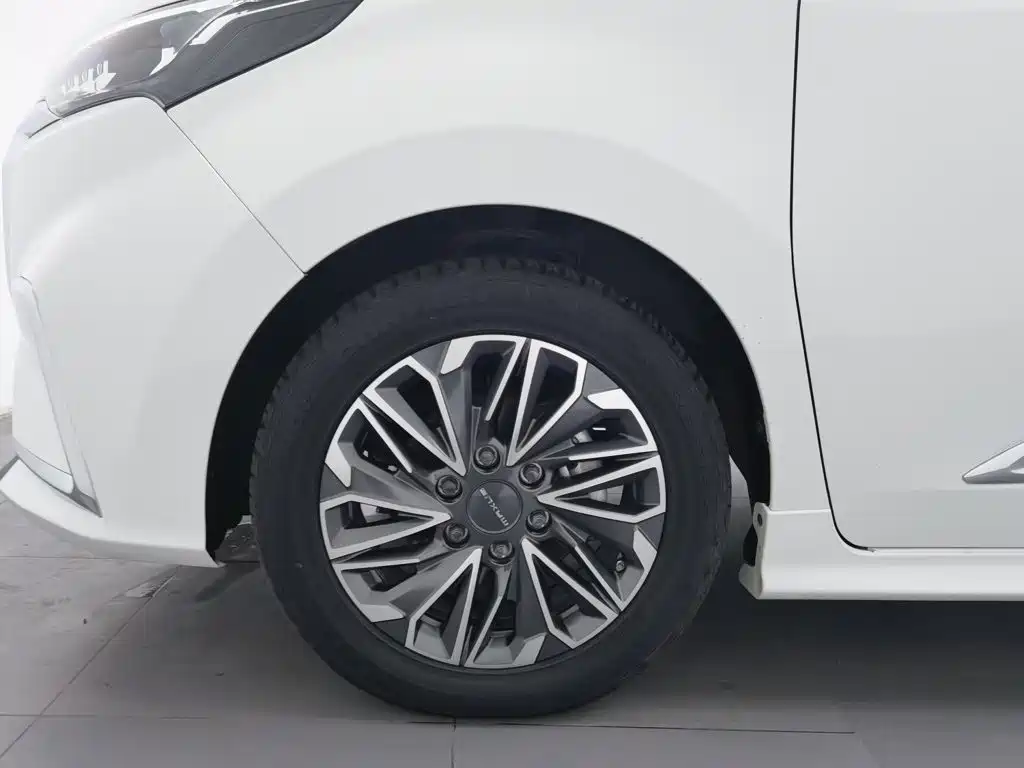 Maxus G20 2019 2019 Debut Edition 2.0T Auto Luxury Executive (China V)