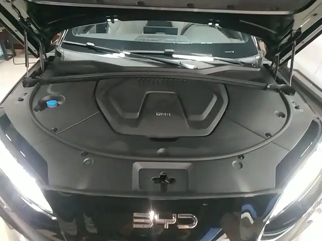 BYD Song PLUS PHEV 2025 DM-i 112KM Honor фото 20