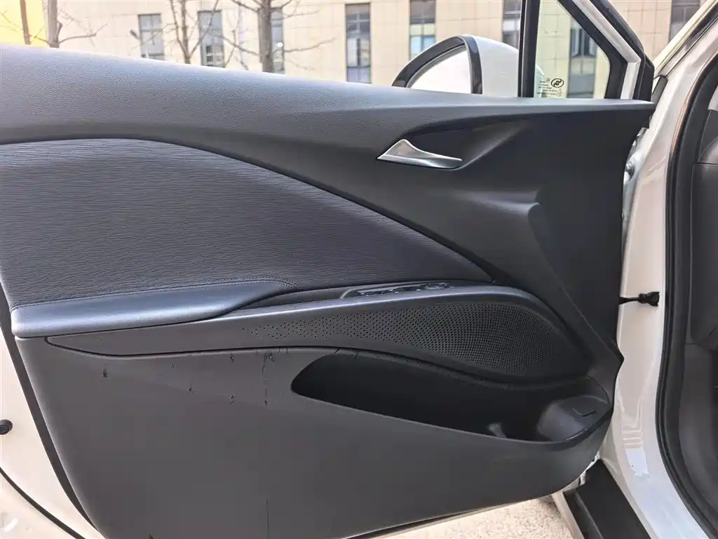 BUICK SLIGHTLY BLUE 6