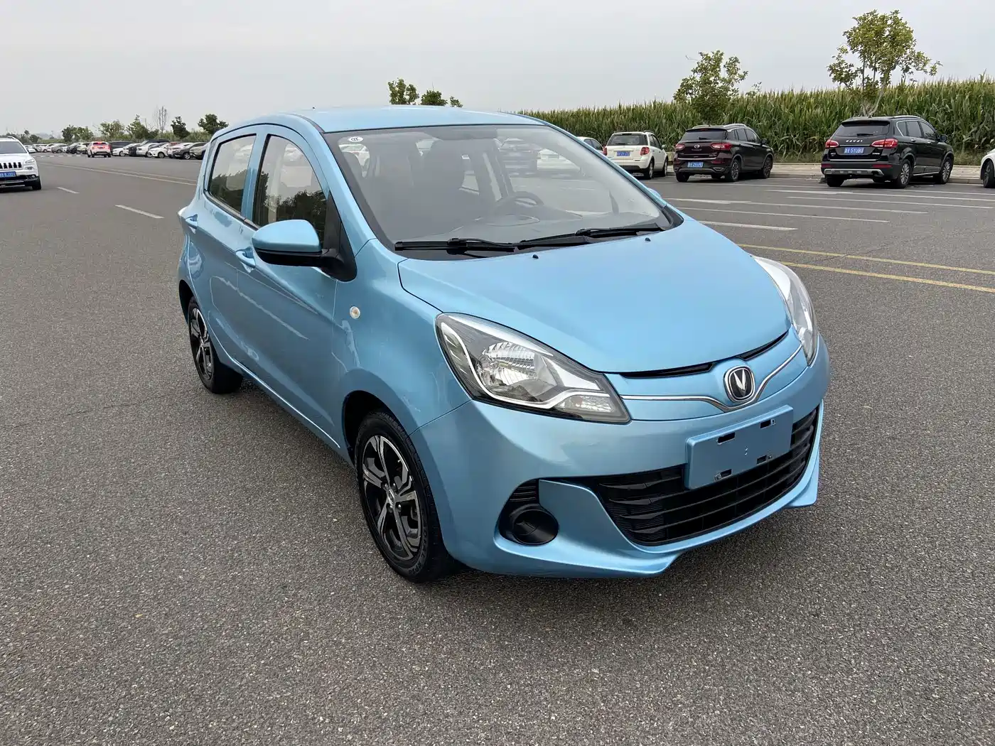 Фото 3 - Changan Benben E-Star