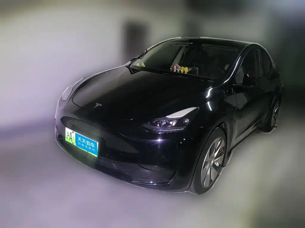 Tesla Model Y 2022 Facelift Rear-Wheel Drive Version