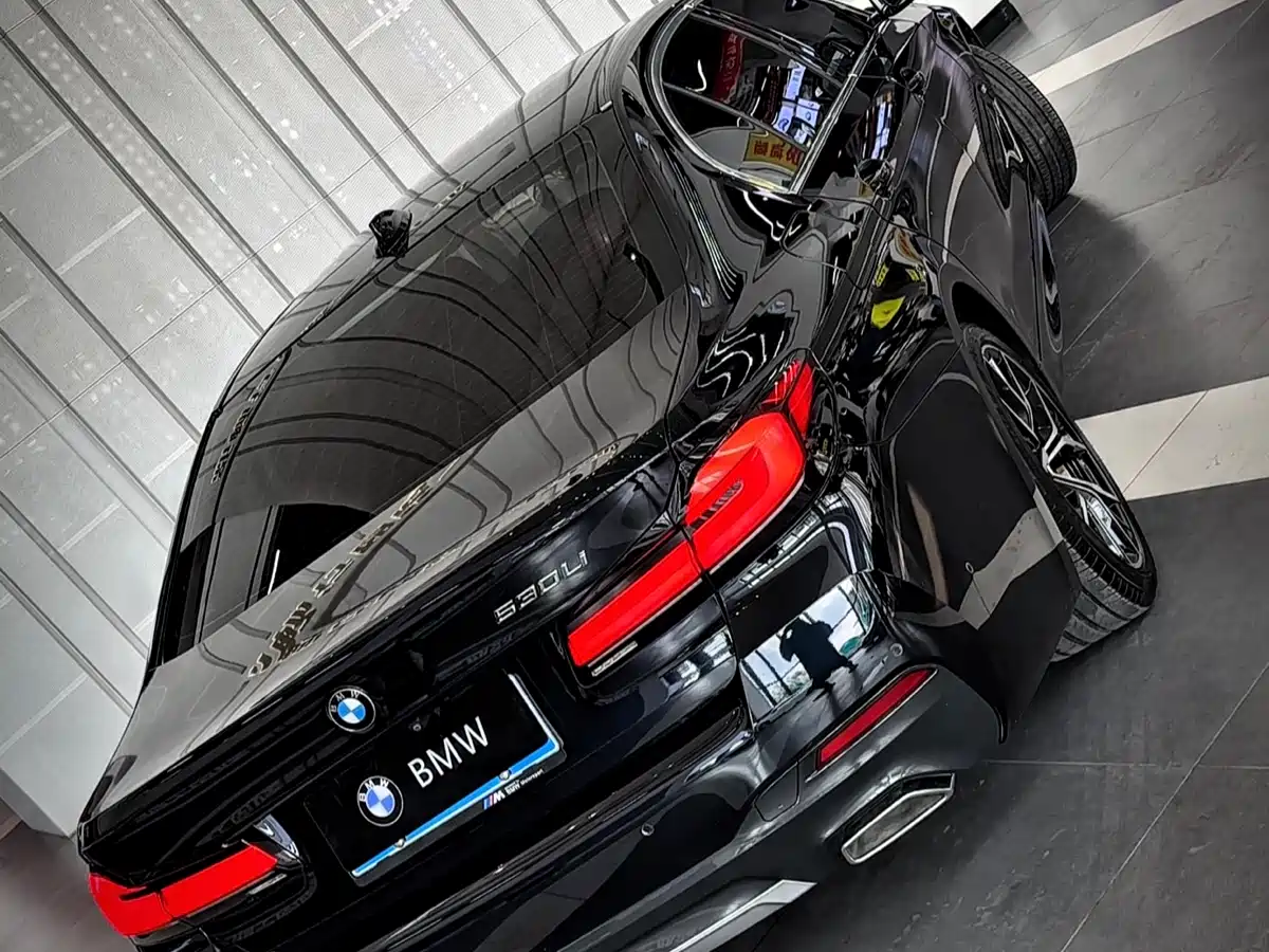 BMW 5 Series 2021 530Li Premium M Sport Package фото 6