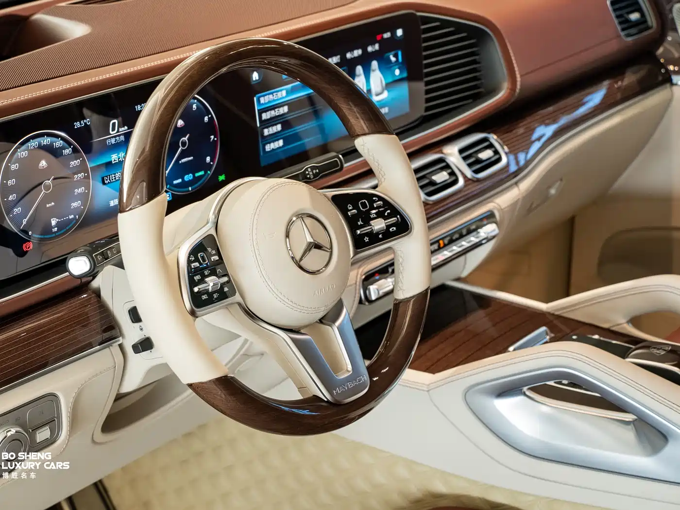 Mercedes-Benz Maybach GLS 2022 GLS 600 4MATIC Ceremony Edition фото 15