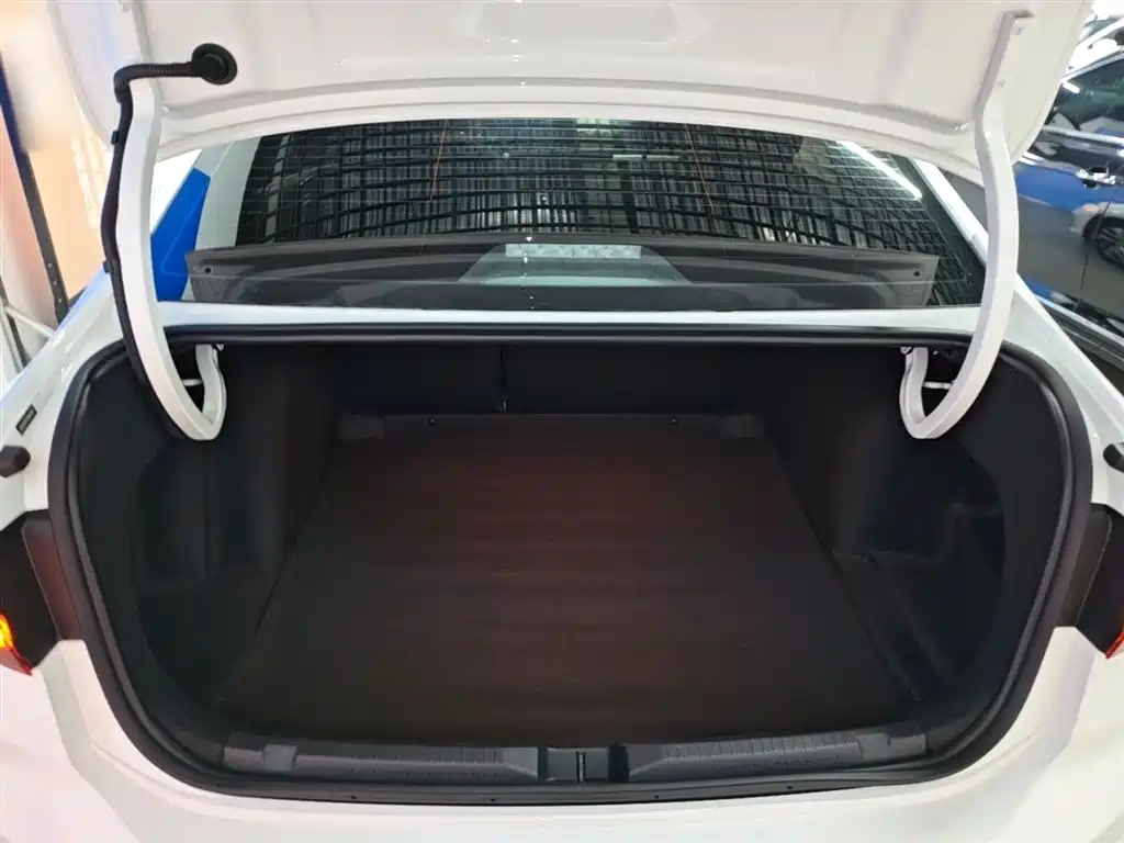 Volkswagen Lavida 2024 Model 300TSI DSG Starlight Leading Edition фото 19
