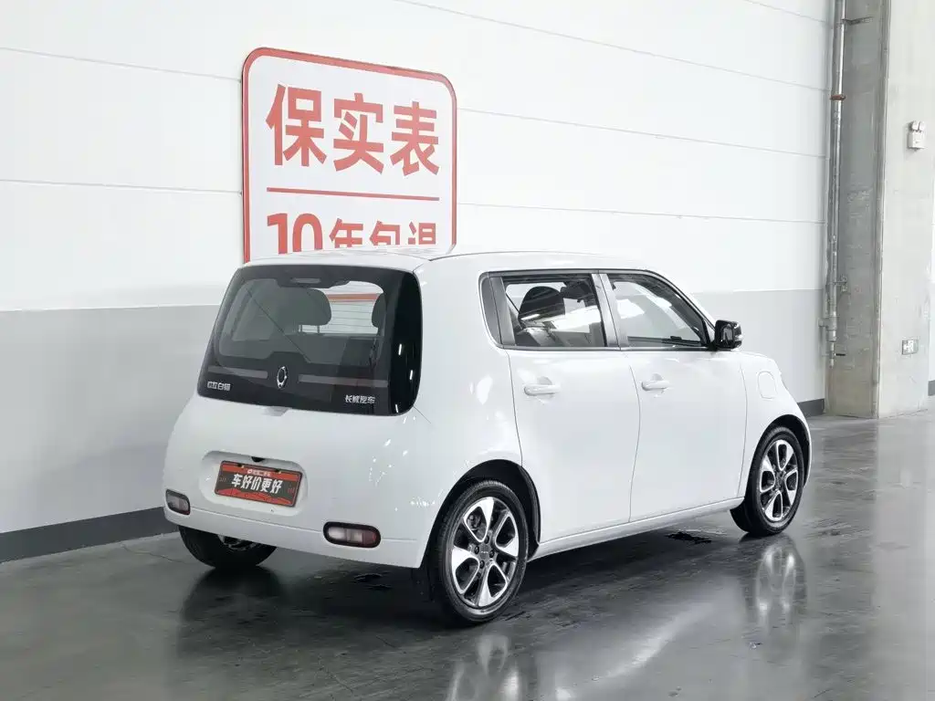 Ora White Cat 2021 2020 401km Flagship Model