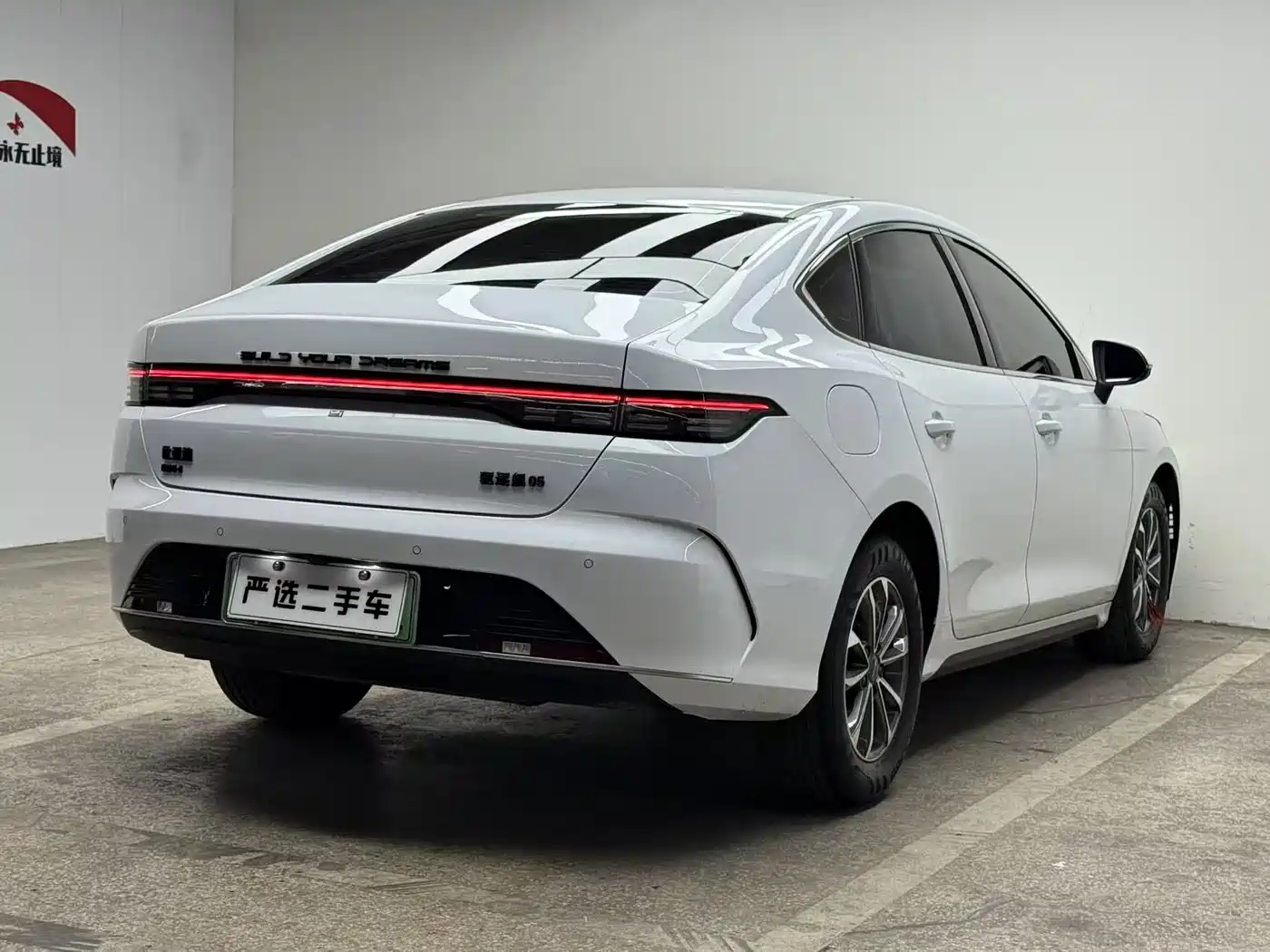 BYD Destroyer 05 2024 Glory Edition DM-i 55KM Luxury фото 5