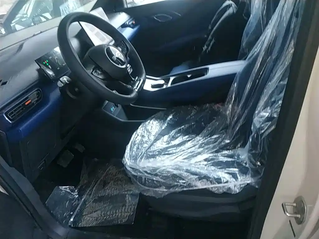 BYD Seagull 2025 Smart Drive Edition 305km Vitality Version фото 15