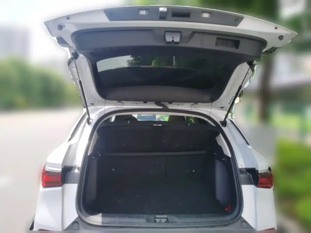 BYD Yuan PLUS 2025 2025 Smart Drive 430KM Superior