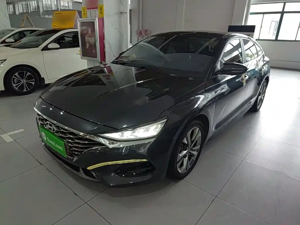 Photo 1 - Hyundai Lafesta