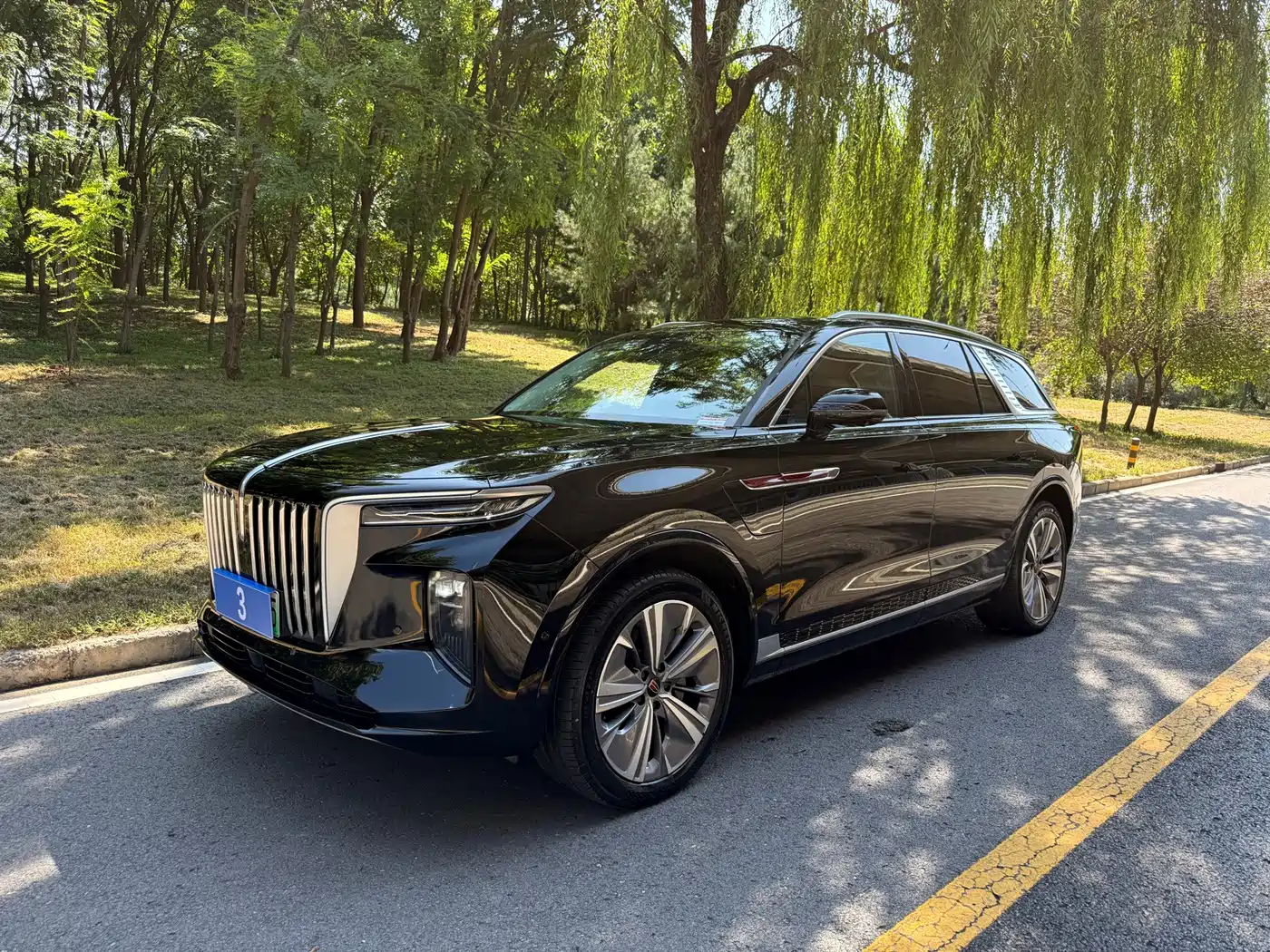 Hongqi E-HS9 2021 — пригон из Китая