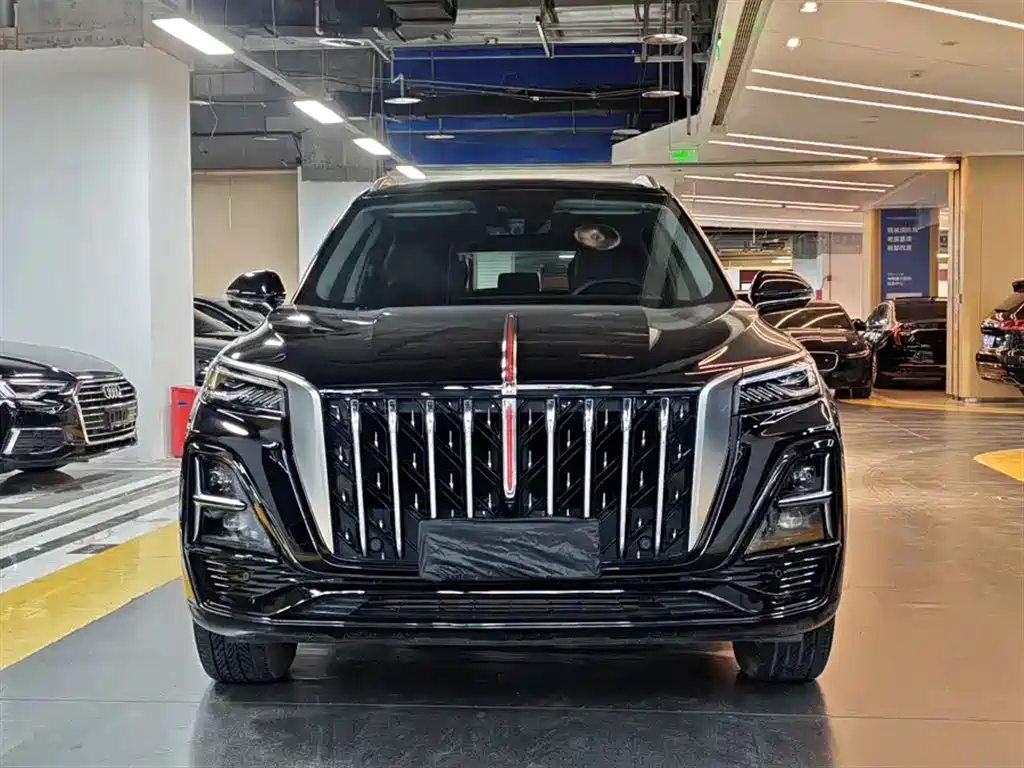 Hongqi HS5 2023 2.0T Flag Enjoy Pro Edition фото 2