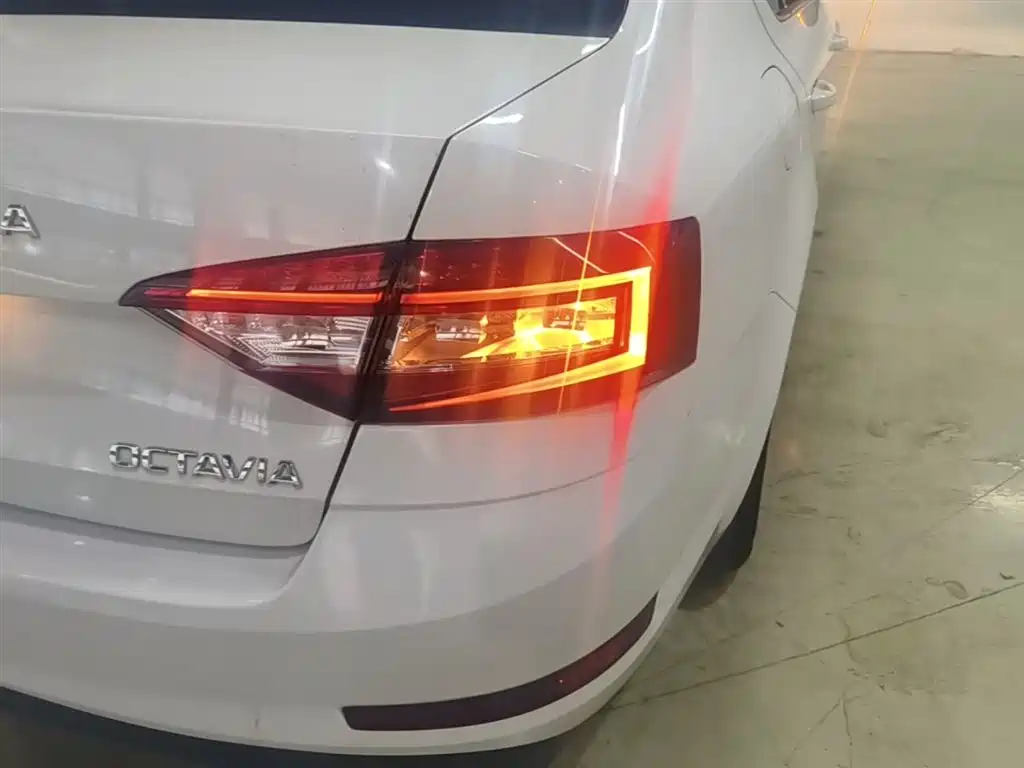 Škoda Rapid 2020 1.5L Manual Standard фото 8