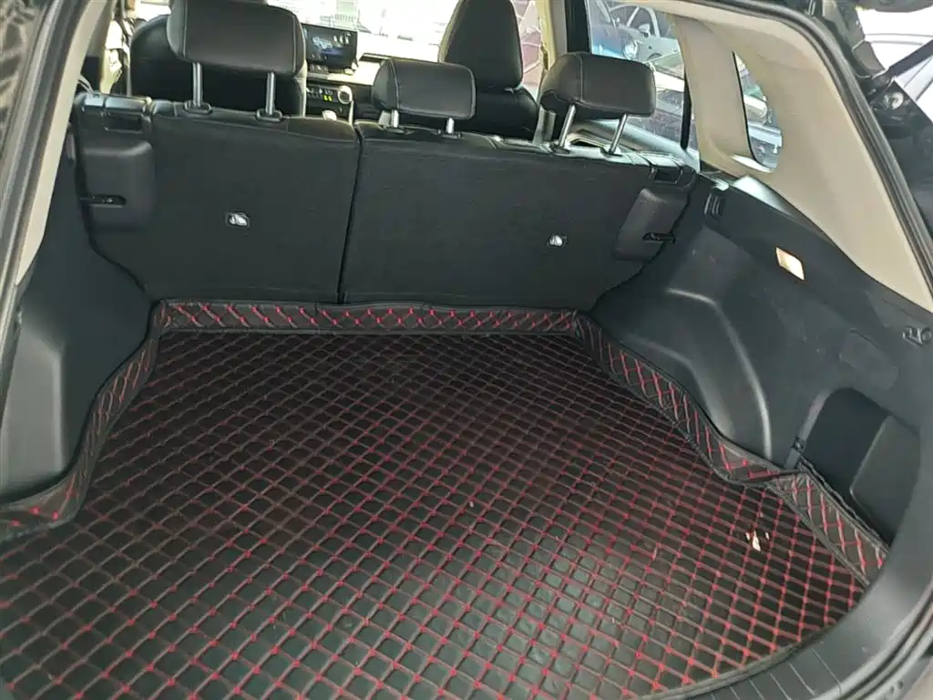 Toyota RAV4 Rongfang 2023 2.0L CVT 2WD Urban Edition фото 19