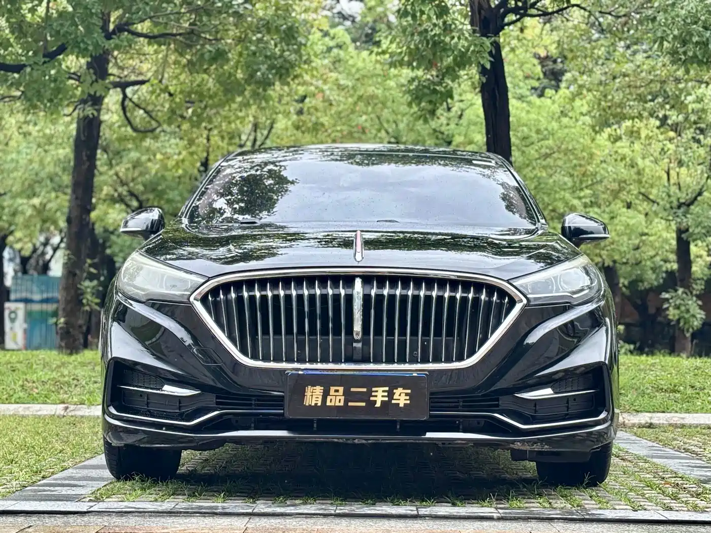 Hongqi H5 2019 30TD Style Edition фото 3