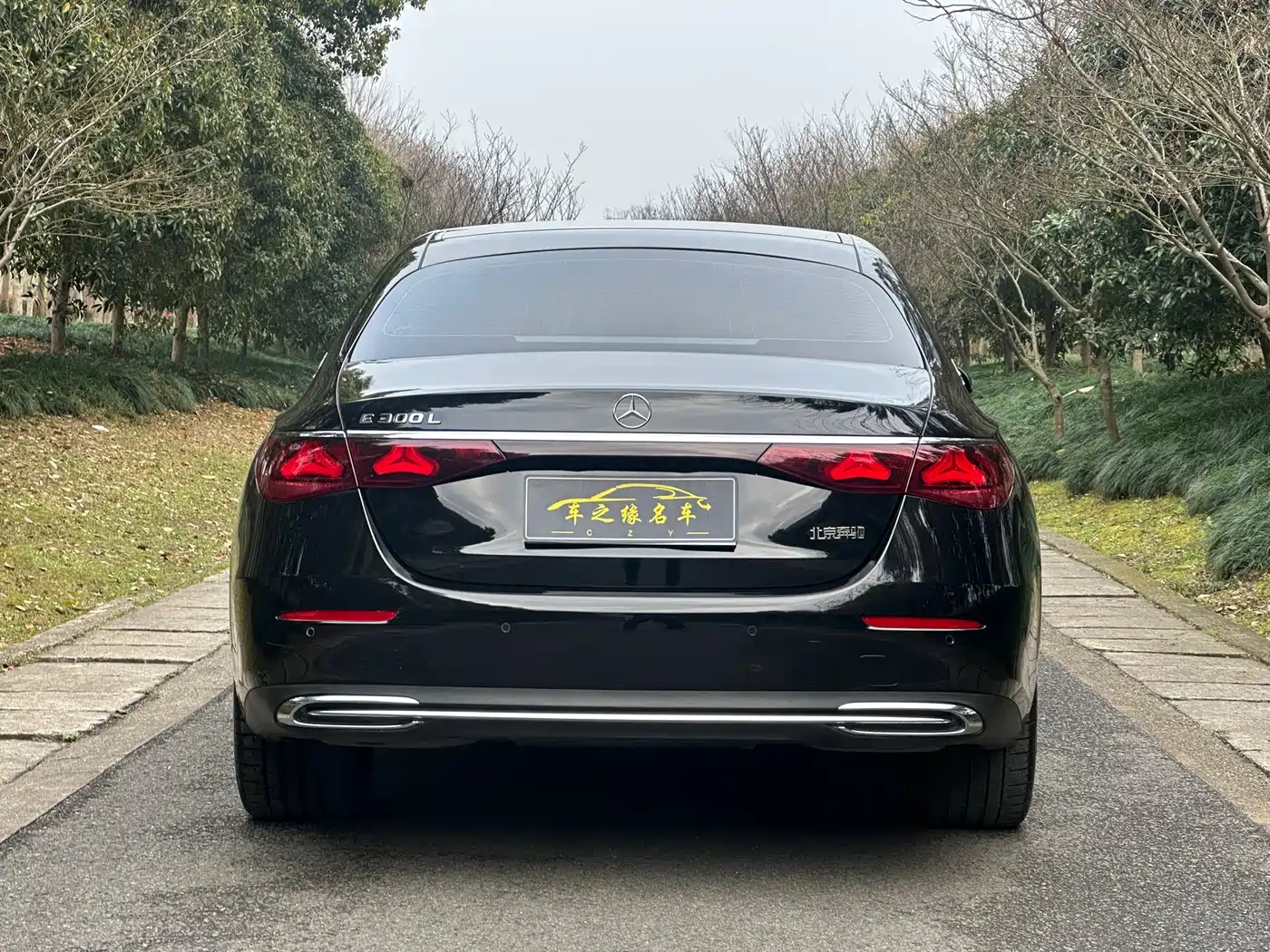 Mercedes-Benz E-Class 2025 Facelift E 300 L Luxury фото 16
