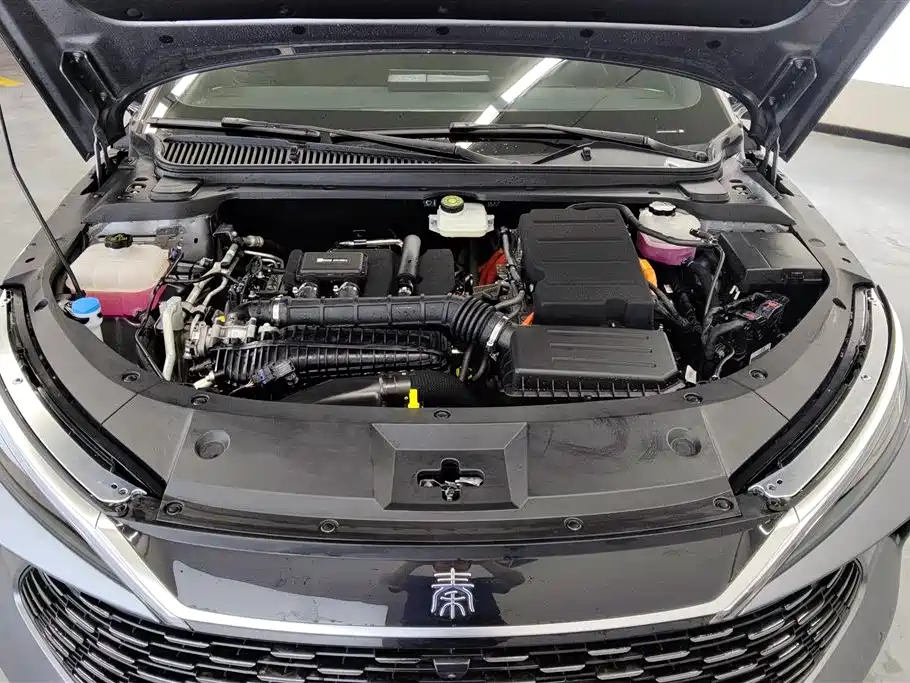 BYD Qin L 2024 DM-i 120KM Leading фото 10
