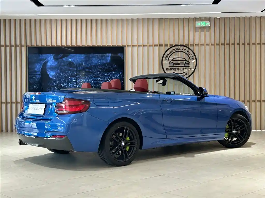 BMW 2 Series (Import) 2019 225i Convertible Coupe Exclusive M Sport Package фото 11