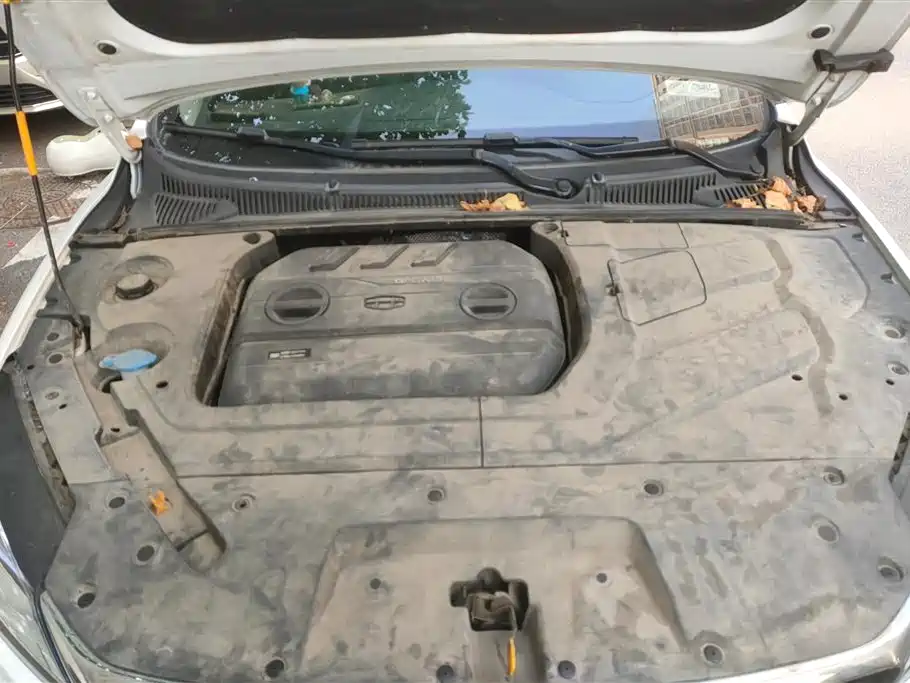 GEELY AUTOMOBILE BINRUI