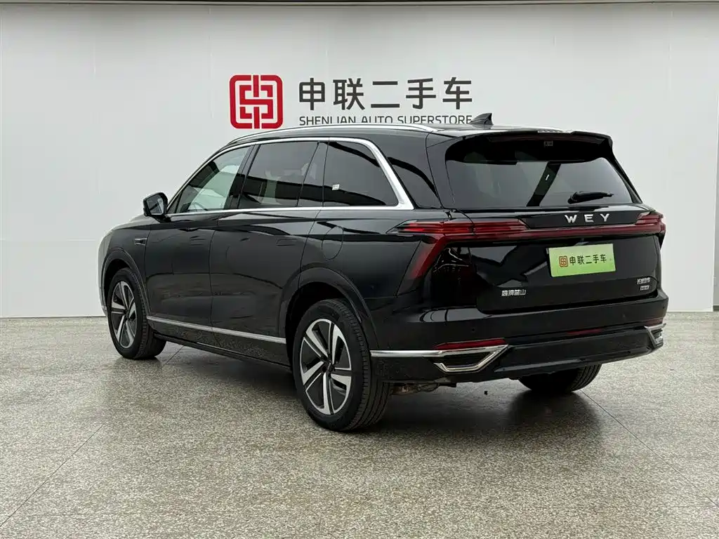 WEI PAI WEI BRAND BLUE MOUNTAIN