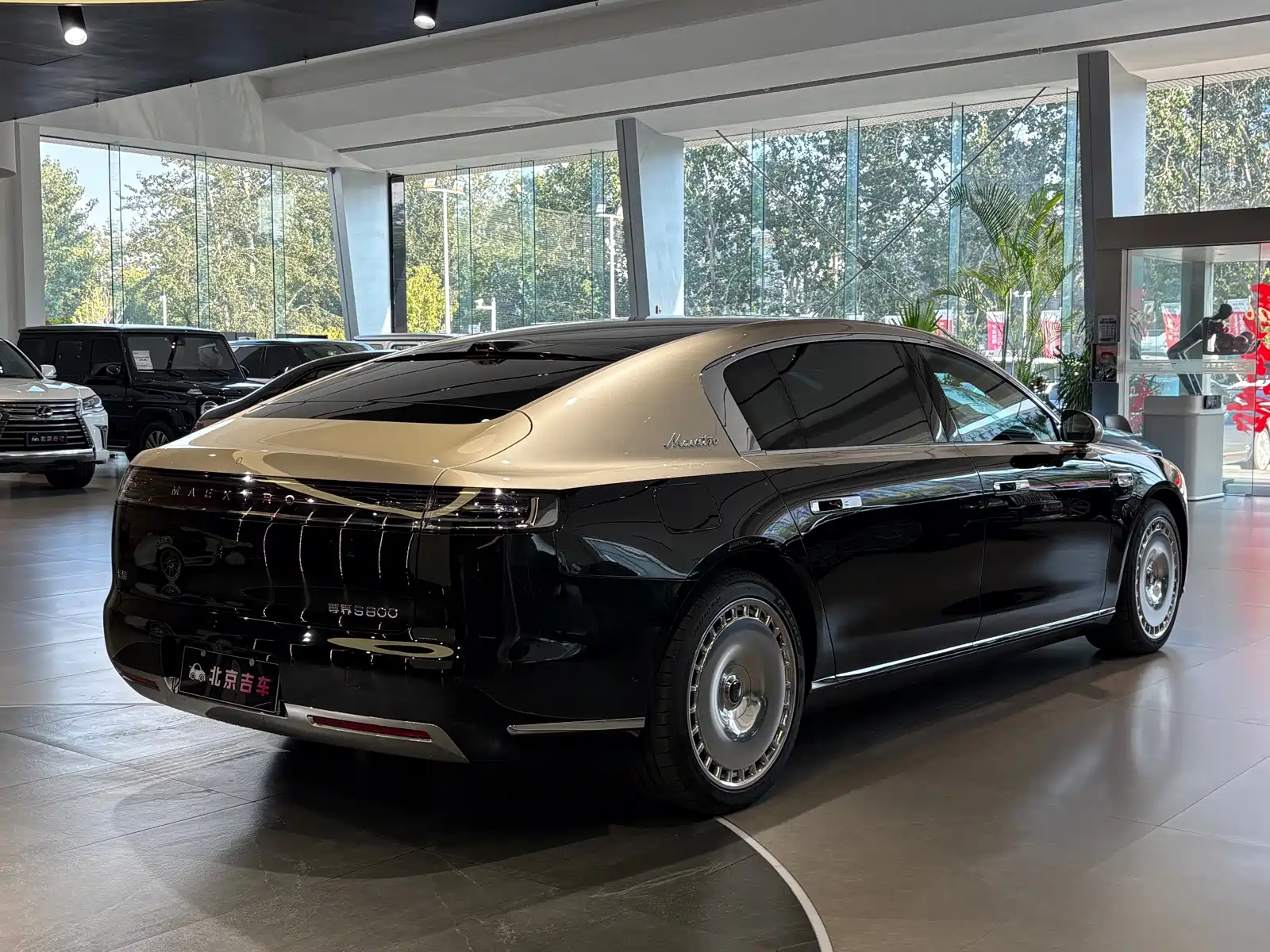 صورة 7 - Zunjie S800