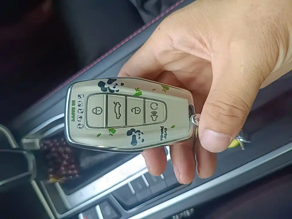 Фото 9 - Geely Binrui