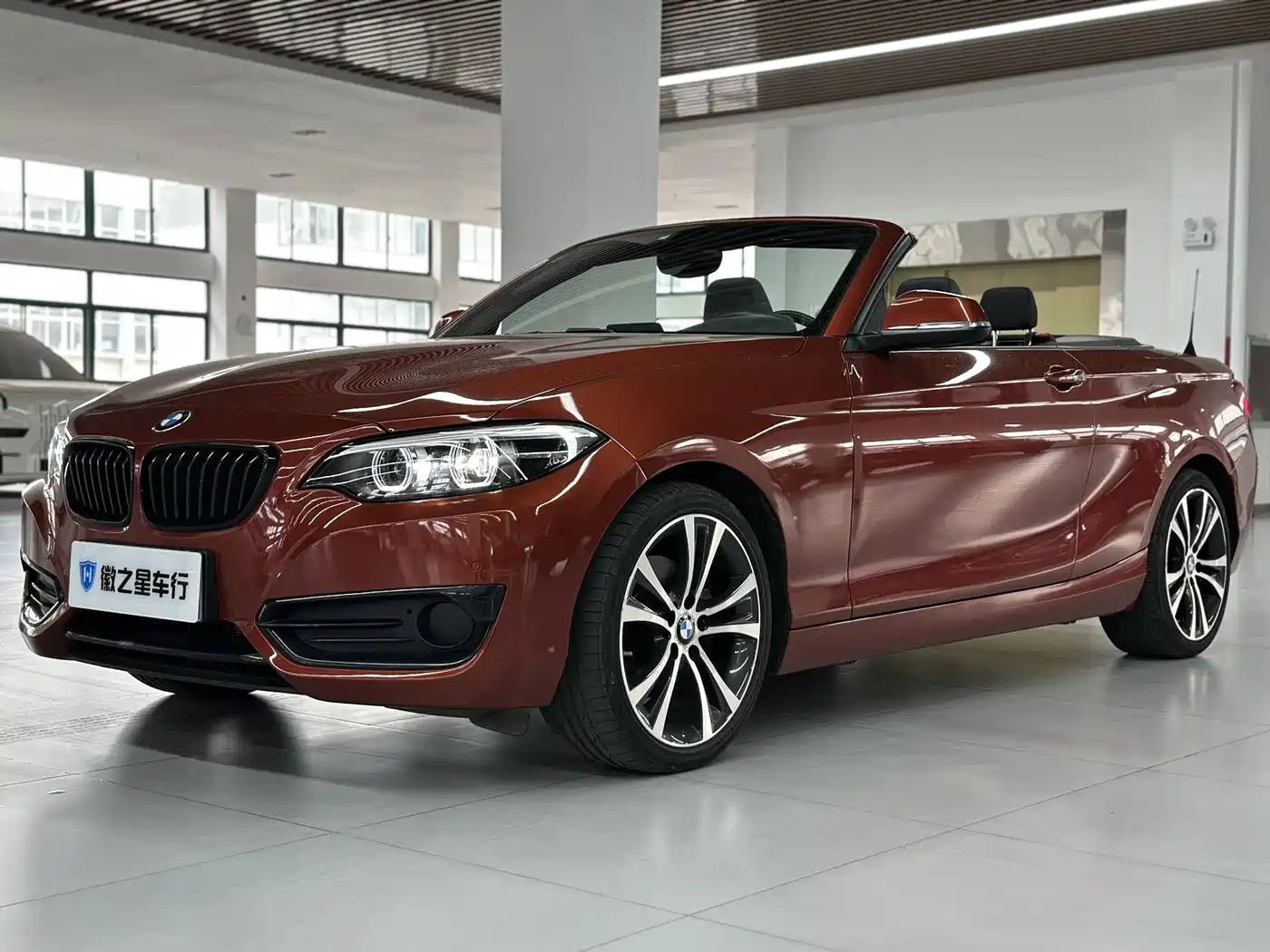 BMW 2 Series (Import) 2019 225i Convertible Coupe Sport Design Package