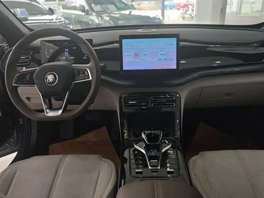 BYD Qin PLUS 2024 Glory Edition DM-i 55KM Leading фото 12
