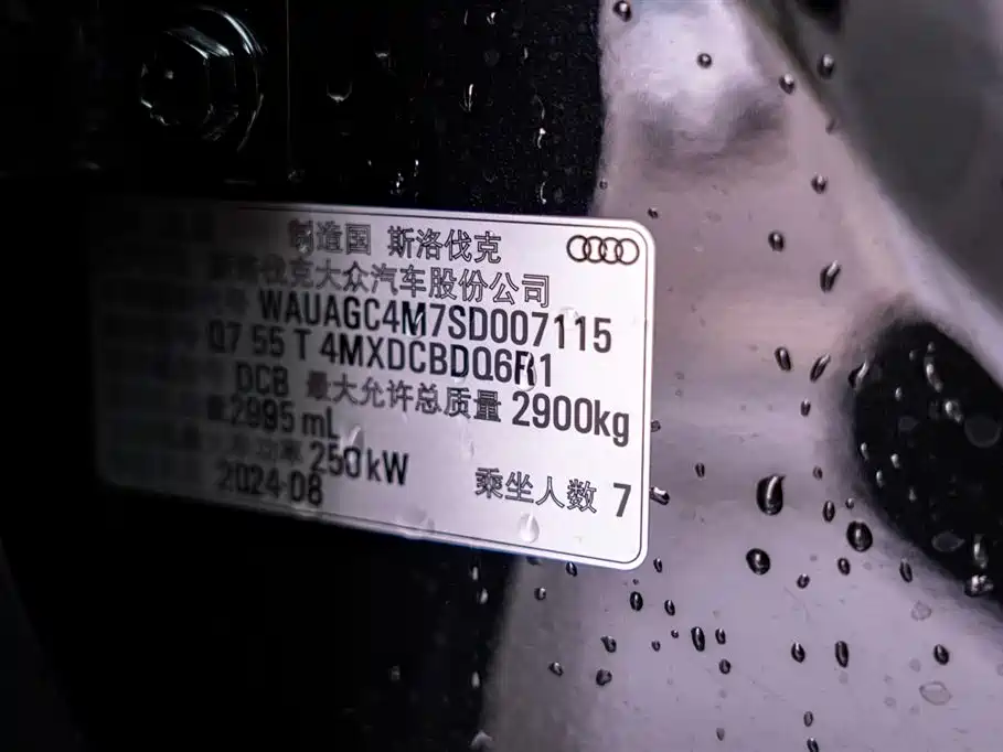 Audi Q7 2025 55 TFSI quattro S line Sport фото 25