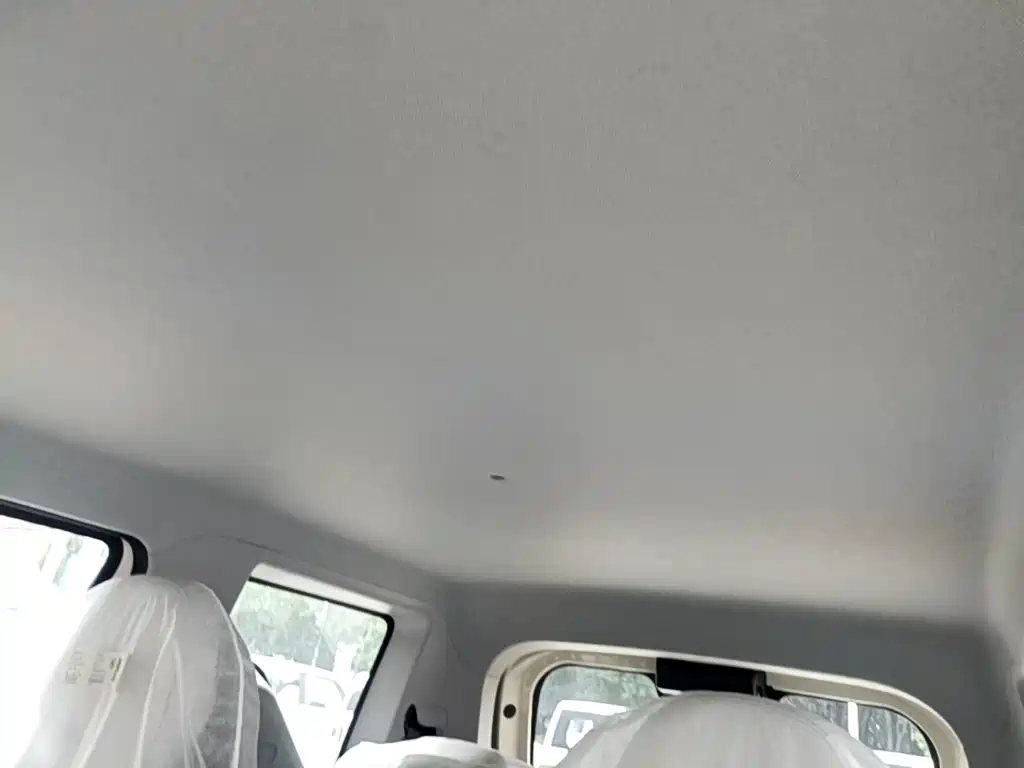 Geely Galaxy Panda 2026 2025 Panda mini 210km Vitality Bear