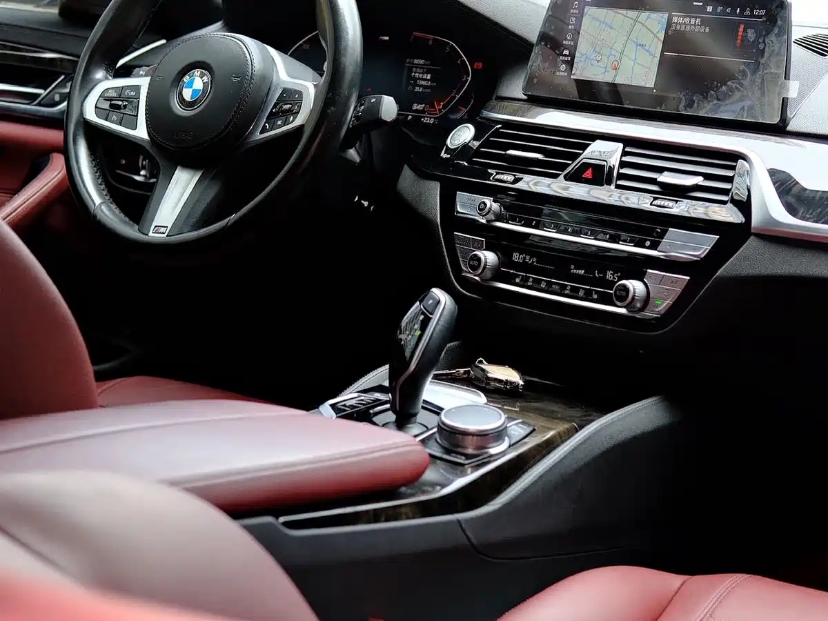 BMW 5 Series 2020 530Li Leading M Sport Package фото 5