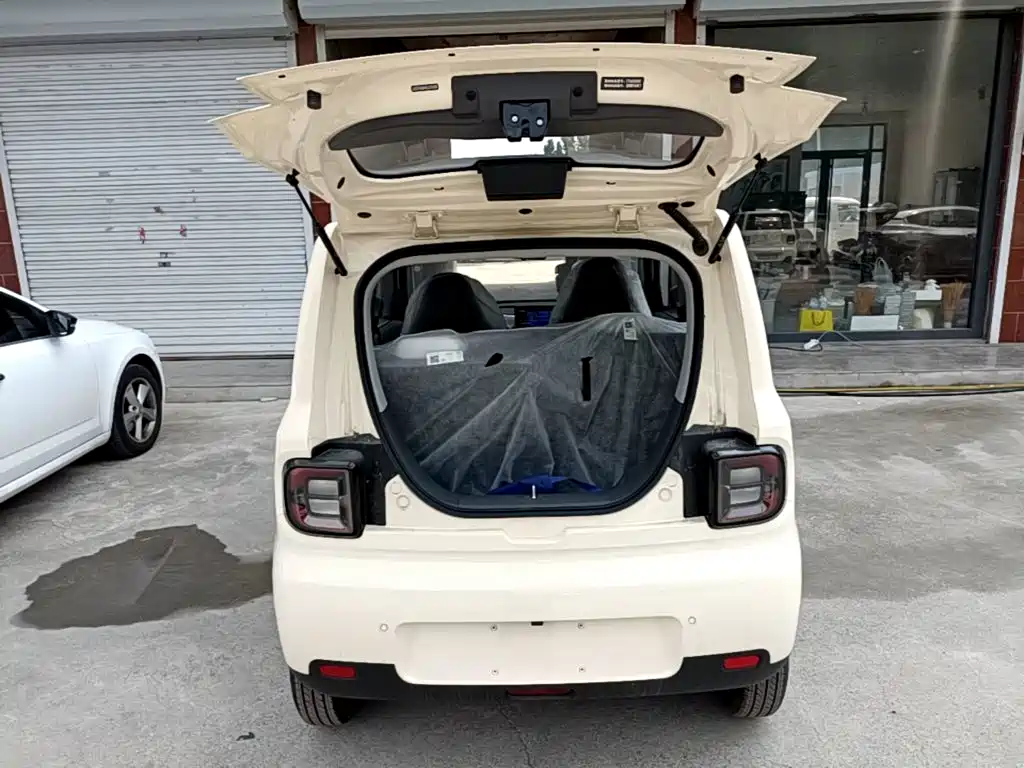 Geely Galaxy Panda 2026 2025 Panda mini 210km Vitality Bear