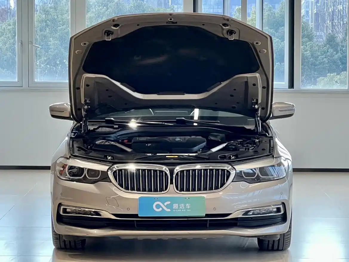 BMW 5 Series New Energy 2018 530Le Luxury Package фото 15
