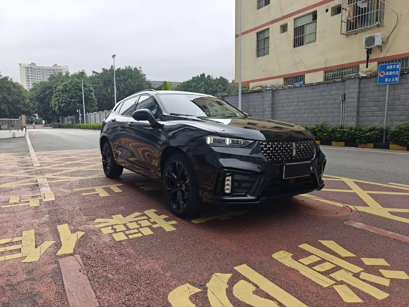 WEI PAI WEI BRAND VV7