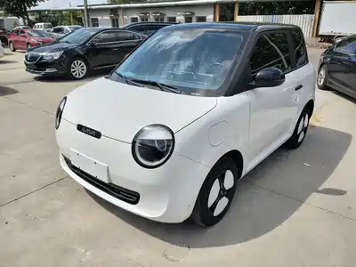 Changan Lumin