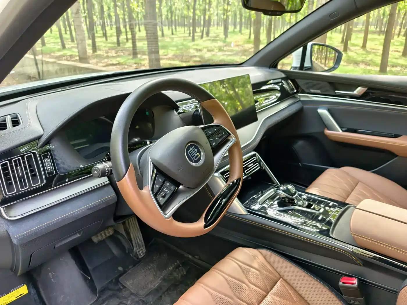 BYD Tang New Energy 2021 DM-i 112KM Premium фото 6
