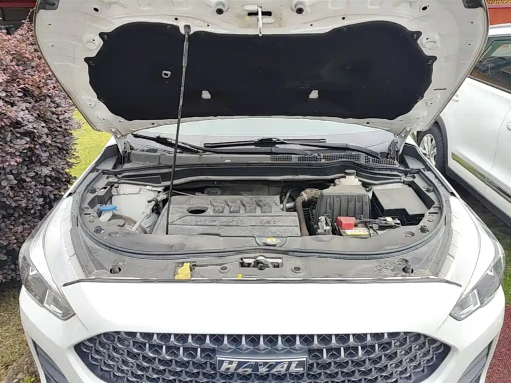 Haval M6 2019 1.5T DCT 2WD Value Edition (China VI) фото 20