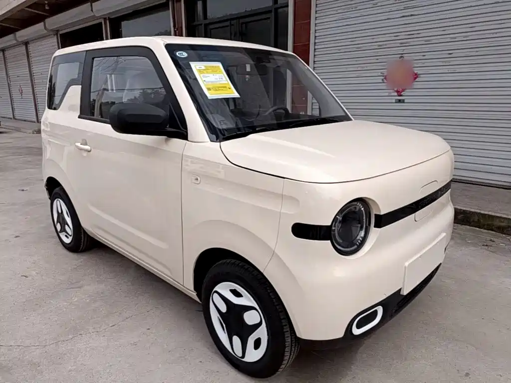 Geely Galaxy Panda 2026 2025 Panda mini 210km Vitality Bear