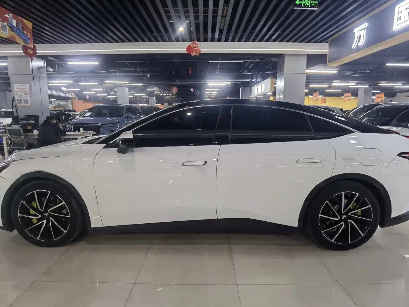 ARCFOX EXTREME FOX POLAR FOX ALPHA S5