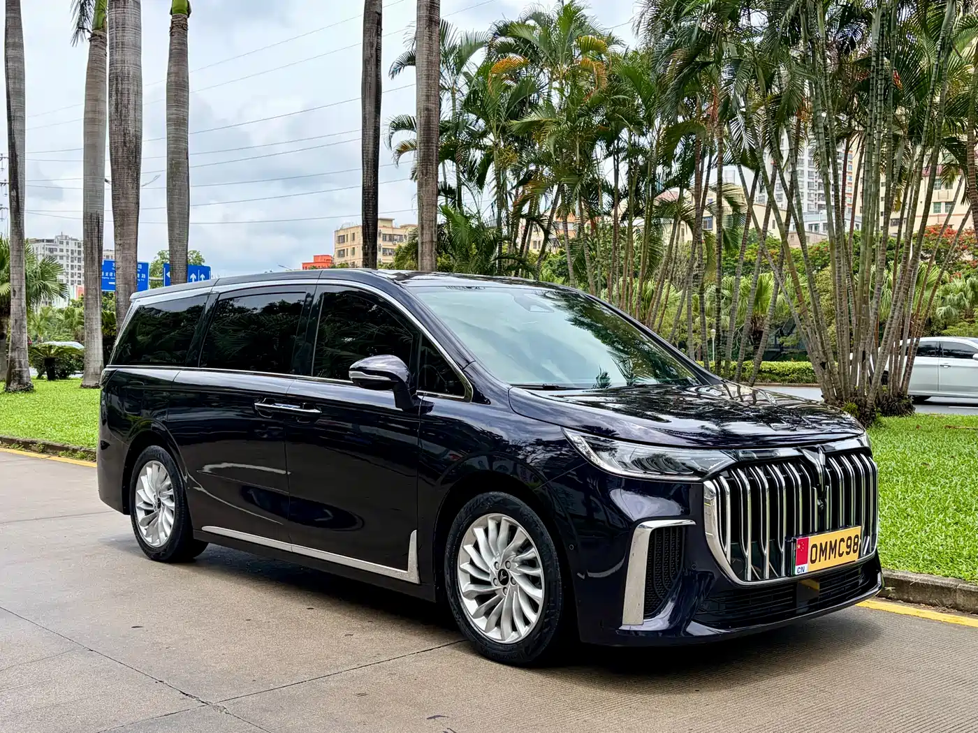 Voyah Auto Voyah Dreamer 2022 Low-carbon Edition Think+Smart Driving Package фото 3