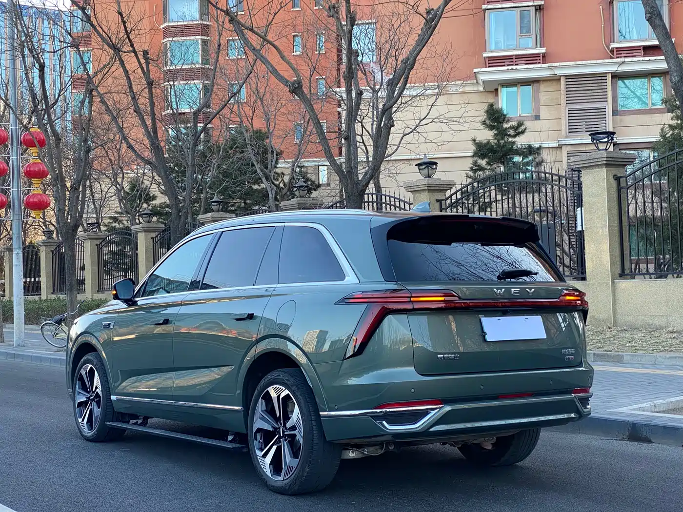 WEI PAI WEI BRAND BLUE MOUNTAIN