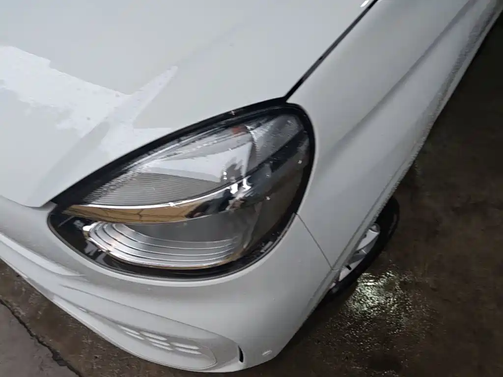 Roewe Clever 2023 2022 311km Vitality Bobo Edition