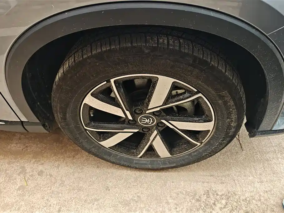 BYD SONGJIANG NEW ENERGY