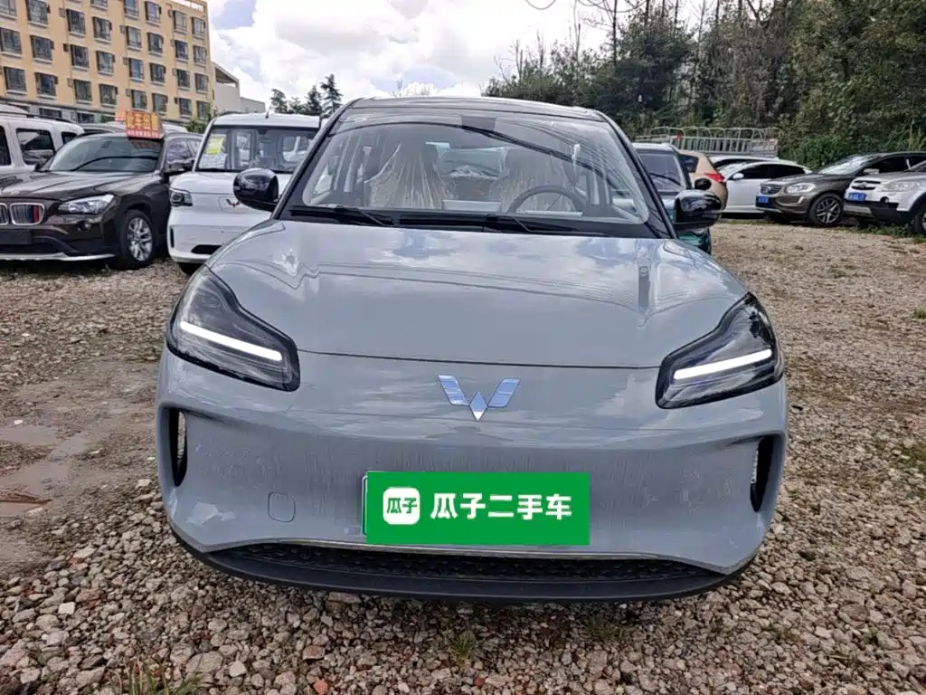 Wuling Motors Wuling Binguo PLUS 2026 2024 510km Range 5-seater