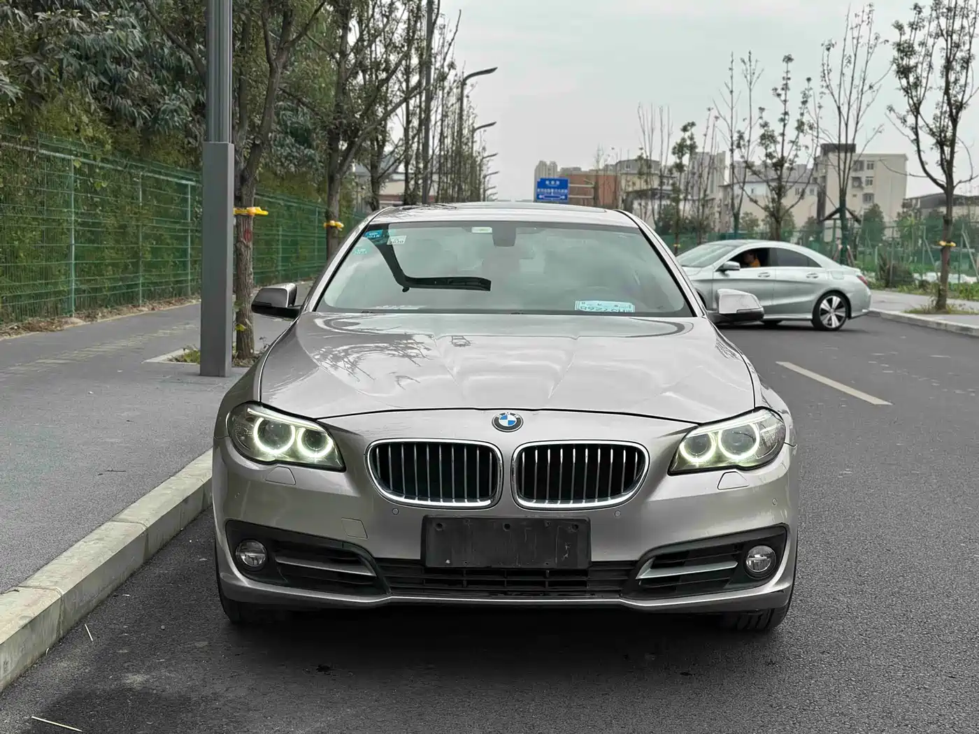 BMW 5 Series 2013 520Li Elegance фото 2