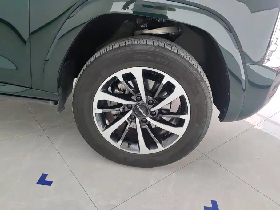 Haval H9 2025 2024 2.0T Gasoline AWD Extreme Edition
