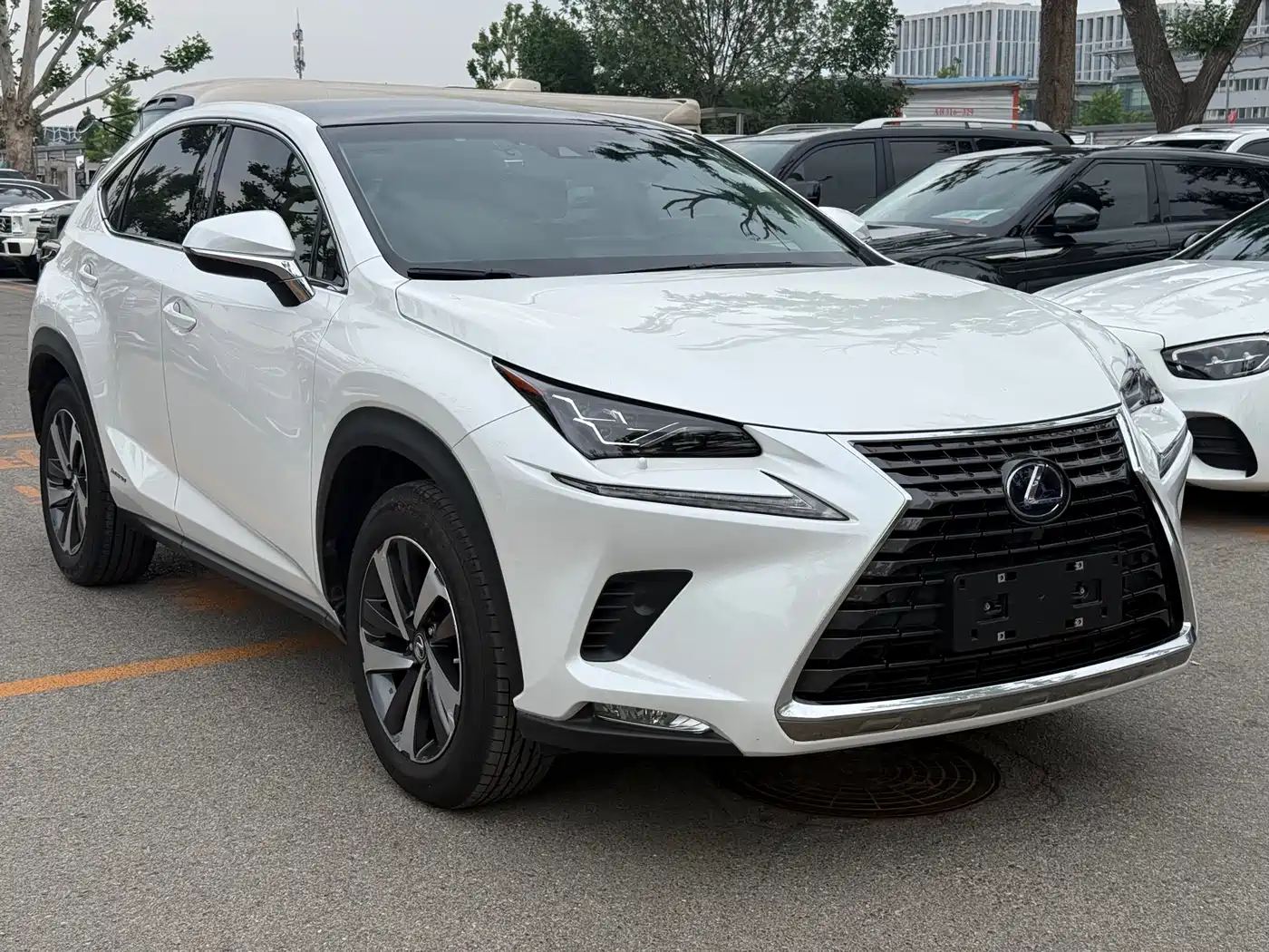 Lexus NX 2018 Model 300h AWD Fengzhi Edition China V фото 4