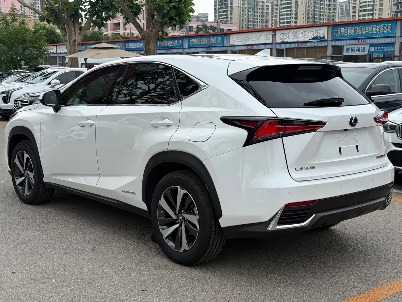 Lexus NX 2018 Model 300h AWD Fengzhi Edition China V фото 17