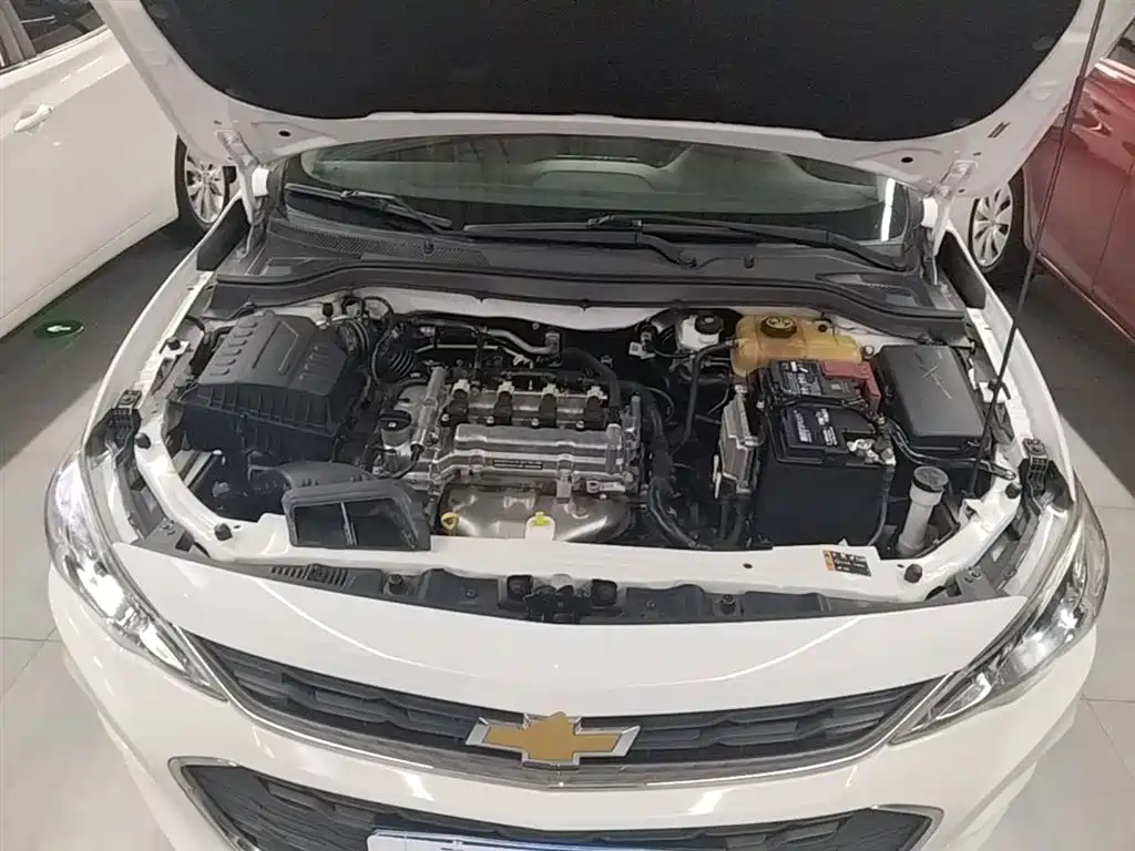 Chevrolet Cavalier 2019 320 Auto Sunroof Enjoyment Edition фото 20