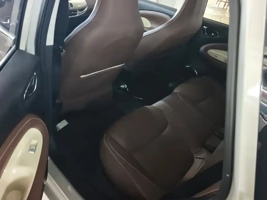 Wuling Motors Wuling Bingo 2023 2023 333km Joyful Version